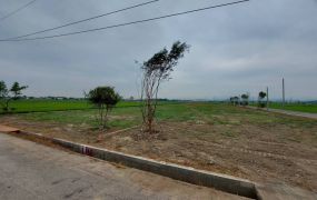 築夢小園地A.B.C09-023