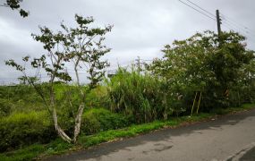 中壢台31二千多坪工業用地
