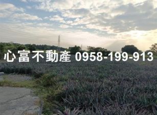 潮州潮義路上農地743坪