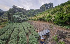 新鹿谷段臨路超大面寬景觀台中買屋賣房,土地王劉志忠