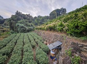 新鹿谷段臨路超大面寬景觀台中買屋賣房,土地王劉志忠