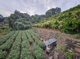 新鹿谷段臨路超大面寬景觀台中買屋賣房,土地王劉志忠