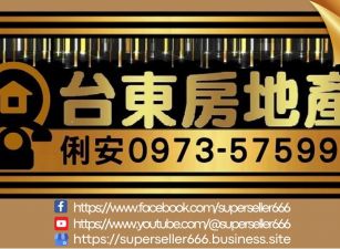 台東房地產 / 八嗡嗡已有資材觀海農地