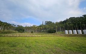 南投魚池澀水森林步道大雁段農地台中買屋賣房,土地王劉志忠