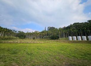 南投魚池澀水森林步道大雁段農地台中買屋賣房,土地王劉志忠