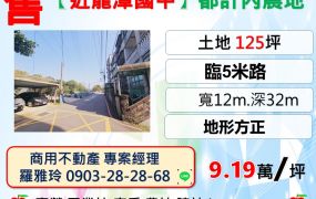 【近龍潭國中】大面寬12米臨路5米都計內農地