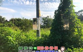 【近湖口交流道番湖段】臨路20米大面寬好規劃美農地