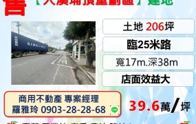 大溪【埔頂重劃區】臨路25米旁大面寬店面效益大建地