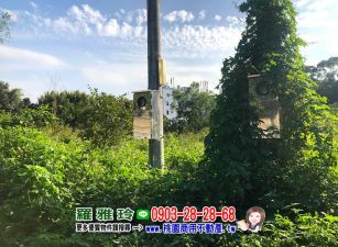 【近湖口交流道番湖段】臨路20米大面寬好規劃美農地