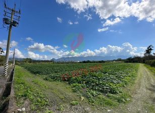 【專】瑞穗360度山景視野最佳美農地Ａ－B261