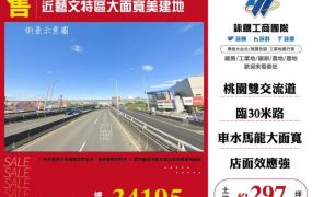 近藝文特區大面寬美建地136