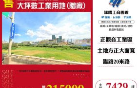 正觀音工業區大坪數工業用地(贈廠)64