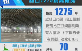 林口挑高1275廠房