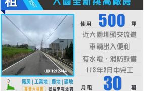 大園全新500挑高倉庫廠房