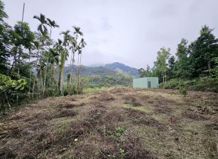 鹿谷瑞峰國中坪子頂段有合法資材室景觀農地台中買屋賣房,土地王劉志忠