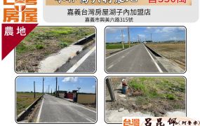 水林萬興村農地 台灣阿魯米 嘉義建地農地