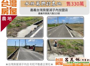 水林萬興村農地 台灣阿魯米 嘉義建地農地