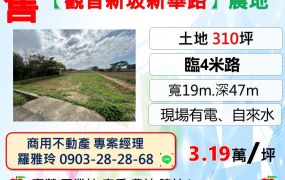 【觀音新坡新華路】現場有電、自來水農地(可農保)