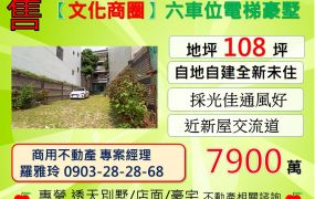 【文化商圈】近新屋交流道交通便利六車位電梯豪墅