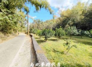 左鎮區 - 左鎮區山豹段休閒果園 - 188萬