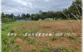 平鎮工業城【平東路】大面寬三面臨路一般美農地