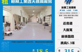 樹林工業透天挑高廠房