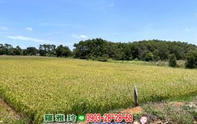 【新屋社子國小】近市區地形方正環境優雙面路美田