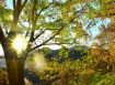 龍潭交流道養身村 804醫院  龍潭市區