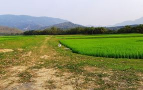 林口交流道旁工業地/專營大台北大桃園工業地廠房出售出租