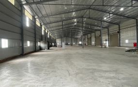 龍潭全新挑高(可依法廠登)廠房/專營大台北大桃園工業地廠房