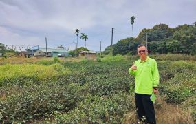 賀成交南投微熱山丘旁樟普寮段已申請合法菇寮農地台中買屋賣房,土地王劉志忠