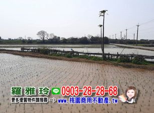 【新屋66青田路】交通便利超便宜稀有甲建地