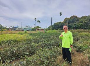 南投微熱山丘旁樟普寮段已申請合法菇寮農地台中買屋賣房,土地王劉志忠