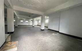 大園工業區大腹地RC廠房(可廠登)•	大桃園廠房工業地買賣出售/廠房出租