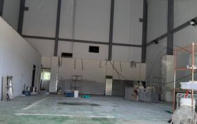 租龜山區 南上路附近工業廠房 約100坪