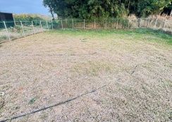 大雅路市農地09-091