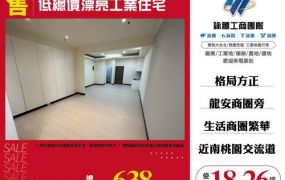 低總價漂亮工業住宅138