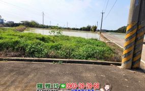 【湖口近市區】臨4米路投資農地(此物件是全蛋)