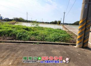 【湖口近市區】臨4米路投資農地(此物件是全蛋)