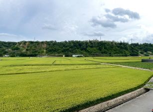 新屋市區農地/專營大台北大桃園工業地廠房租賃買賣