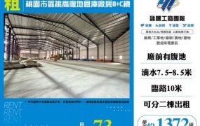 桃園市區挑高腹地倉庫廠房/C+B棟155