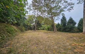 竹山鯉行路大半山鲤魚尾段景觀地400台中買屋賣房土地王劉志忠台中北屯捷運