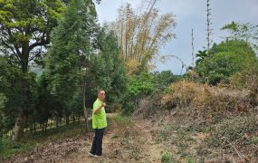 竹山鯉行路大半山鲤魚尾段景觀地462台中買屋賣房土地王劉志忠台中北屯捷運