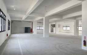 龜山工業區大腹地挑高RC廠房•	大桃園廠房工業地買賣出售/廠房出租