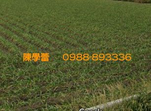 四湖中學1分8農地