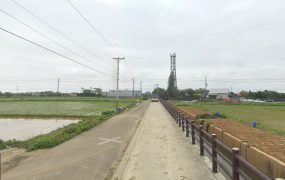 楊梅民安路(田)