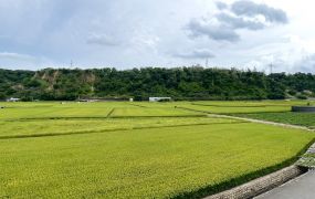 大溪方正建地/大台北大桃園工業地廠房租賃買賣