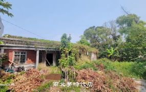 歸仁區 - 歸仁鄉村懷舊建地 - 590萬