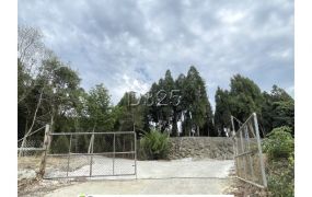 近白河交流道1.7甲適觀光休閒