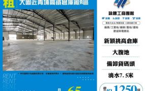 大園近青埔高鐵倉庫廠/A區155